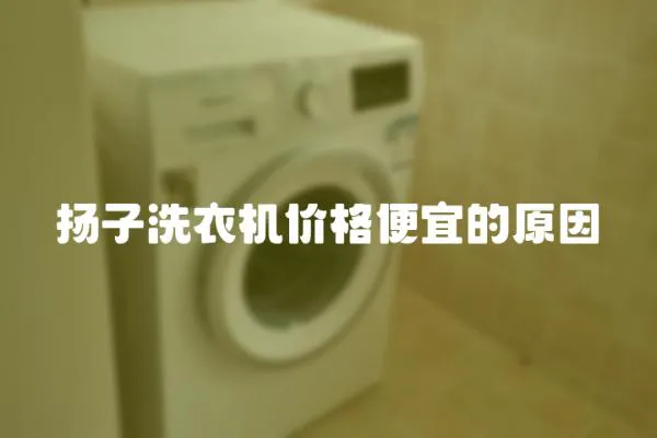 揚子洗衣機價格便宜的原因