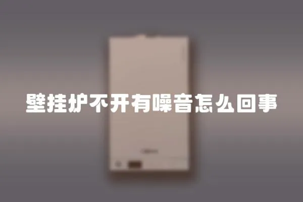 壁掛爐不開有噪音怎么回事