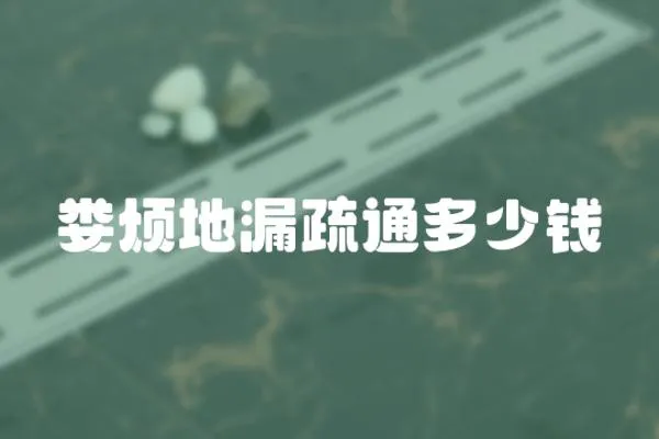 婁煩地漏疏通多少錢
