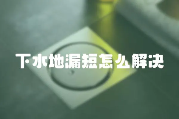 下水地漏短怎么解決