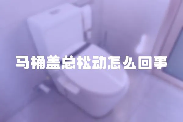 馬桶蓋總松動怎么回事
