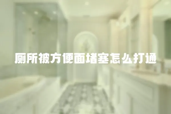 廁所被方便面堵塞怎么打通