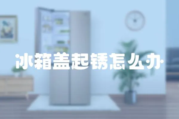 冰箱蓋起銹怎么辦