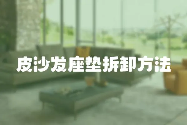 皮沙發座墊拆卸方法