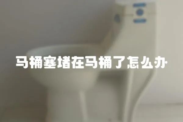 馬桶塞堵在馬桶了怎么辦
