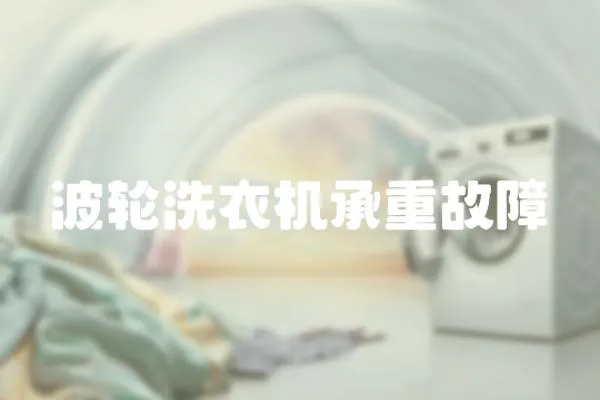 波輪洗衣機承重故障