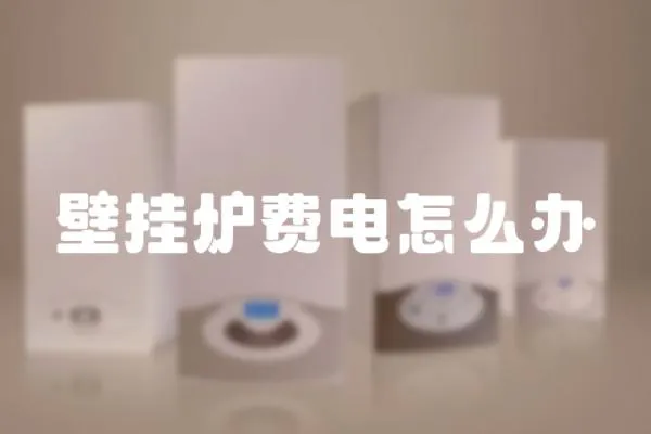 壁掛爐費(fèi)電怎么辦
