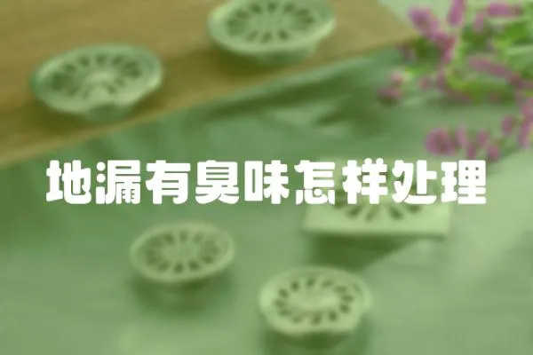 地漏有臭味怎樣處理