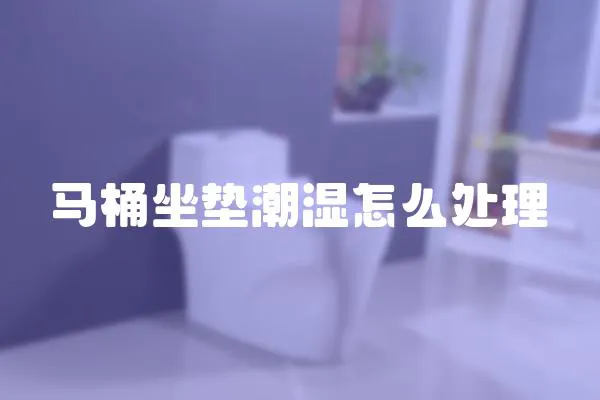 馬桶坐墊潮濕怎么處理