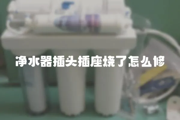 凈水器插頭插座燒了怎么修