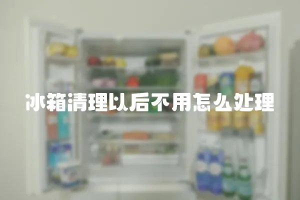 冰箱清理以后不用怎么處理