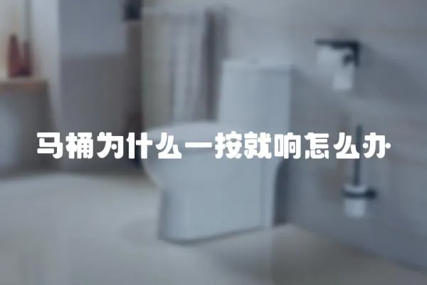 馬桶為什么一按就響怎么辦