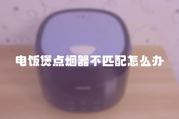 電飯煲點煙器不匹配怎么辦