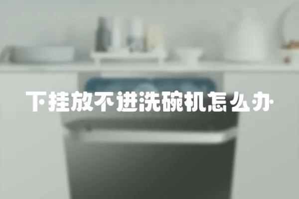 下掛放不進洗碗機怎么辦