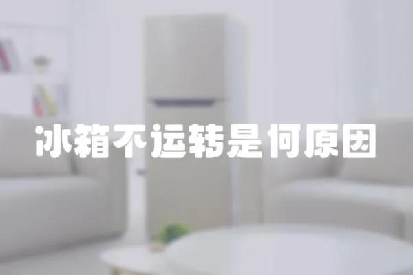冰箱不運(yùn)轉(zhuǎn)是何原因