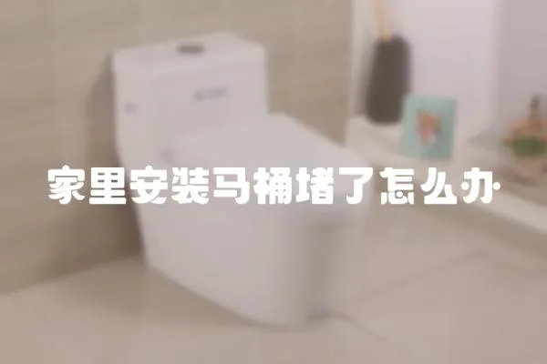 家里安裝馬桶堵了怎么辦