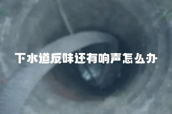 下水道反味還有響聲怎么辦