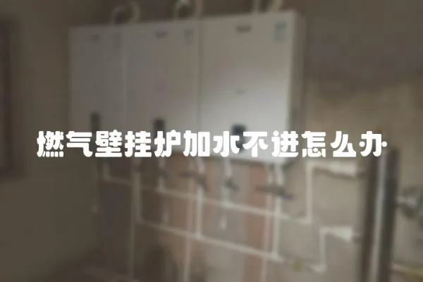 燃?xì)獗趻鞝t加水不進(jìn)怎么辦