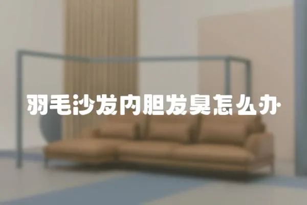 羽毛沙發(fā)內(nèi)膽發(fā)臭怎么辦