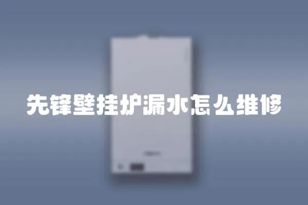 先鋒壁掛爐漏水怎么維修