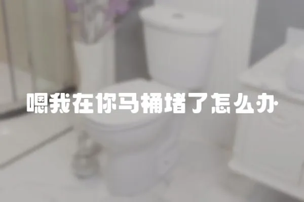嗯我在你馬桶堵了怎么辦