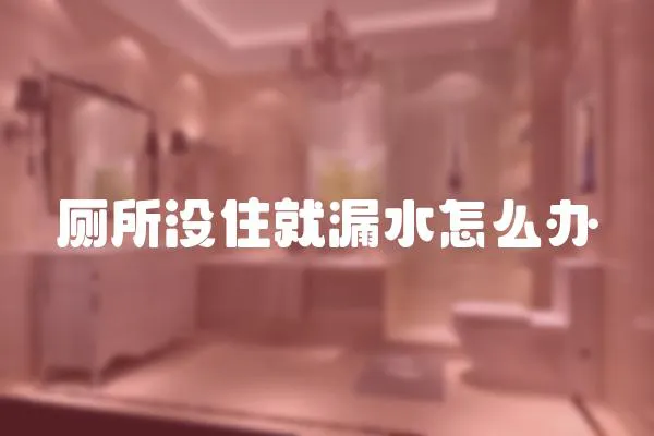 廁所沒住就漏水怎么辦