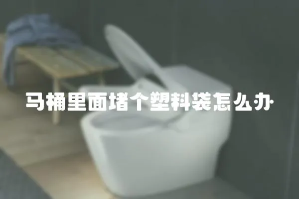 馬桶里面堵個塑料袋怎么辦