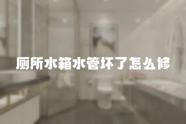 廁所水箱水管壞了怎么修