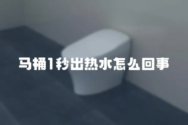 馬桶1秒出熱水怎么回事