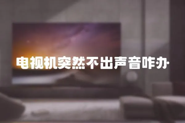 電視機突然不出聲音咋辦