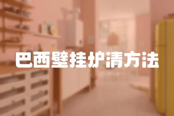 巴西壁掛爐清方法