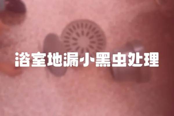 浴室地漏小黑蟲處理