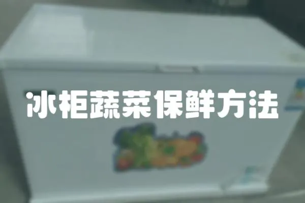 冰柜蔬菜保鮮方法
