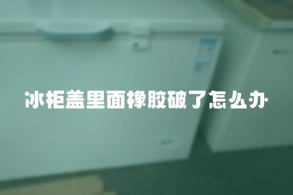 冰柜蓋里面橡膠破了怎么辦