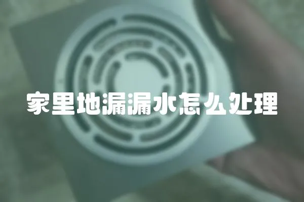 家里地漏漏水怎么處理