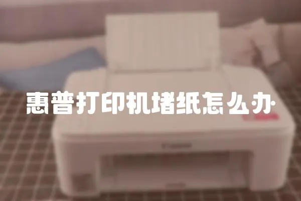 惠普打印機(jī)堵紙?jiān)趺崔k