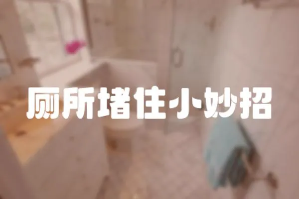 廁所堵住小妙招