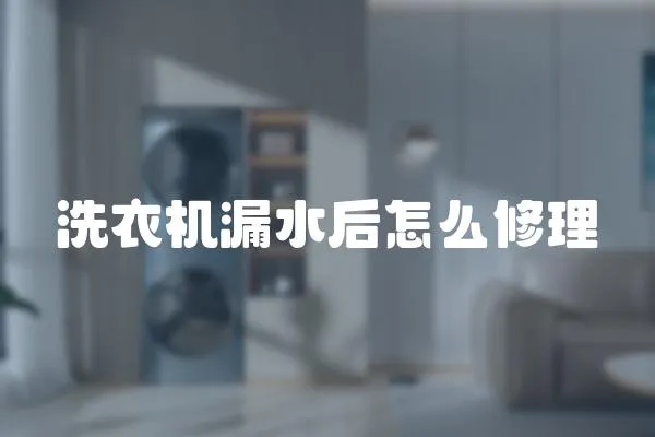 洗衣機(jī)漏水后怎么修理