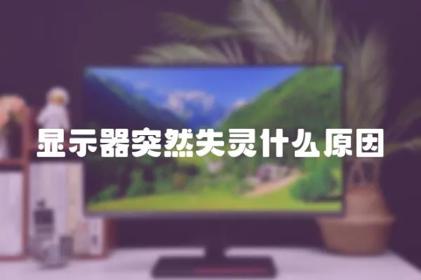 顯示器突然失靈什么原因