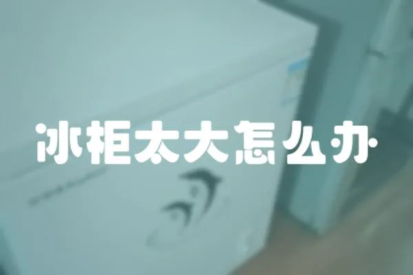 冰柜太大怎么辦