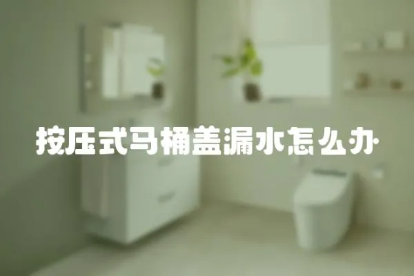 按壓式馬桶蓋漏水怎么辦