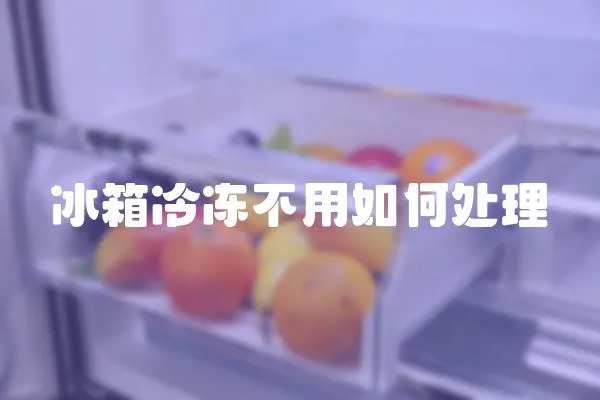 冰箱冷冻不用如何处理