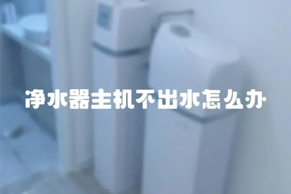 凈水器主機不出水怎么辦