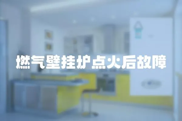 燃氣壁掛爐點火后故障