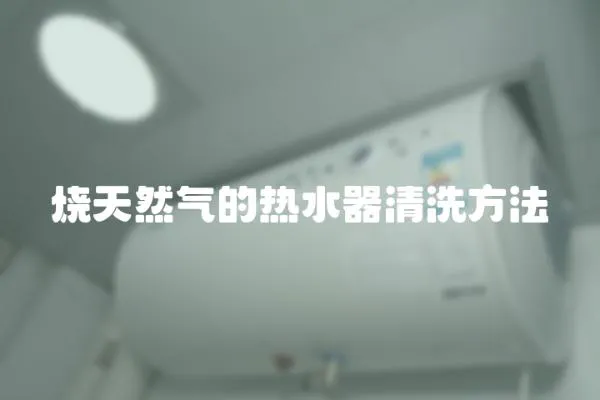 燒天然氣的熱水器清洗方法