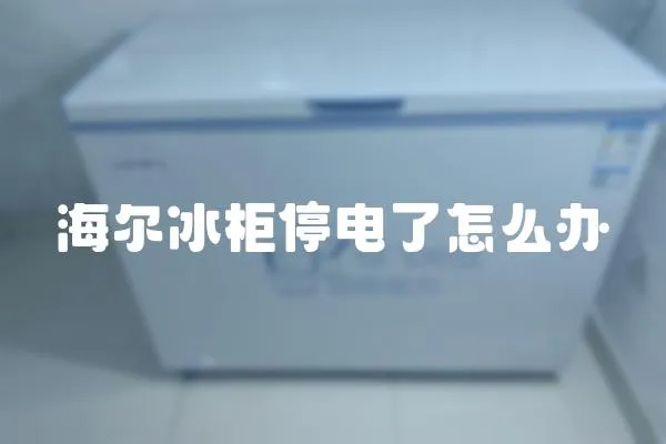海爾冰柜停電了怎么辦