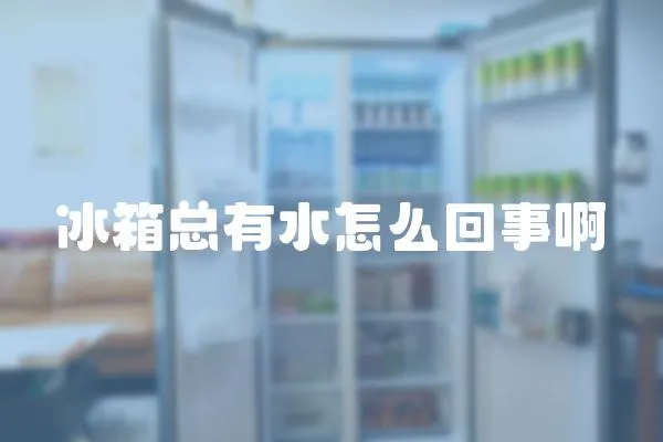 冰箱總有水怎么回事啊