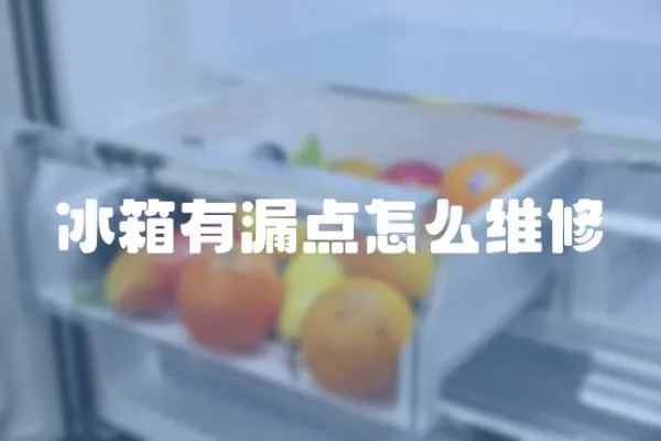 冰箱有漏點怎么維修