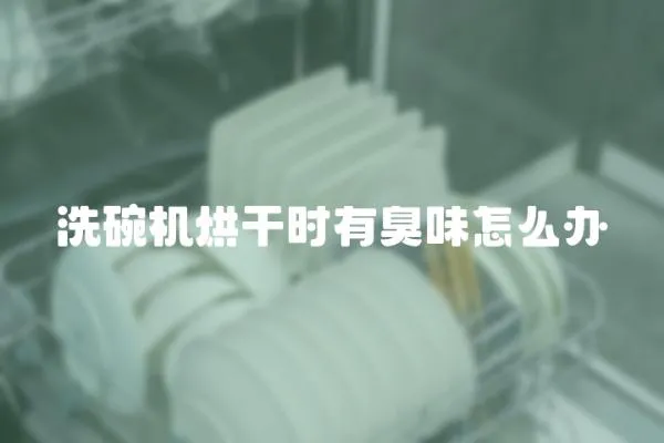 洗碗機烘干時有臭味怎么辦