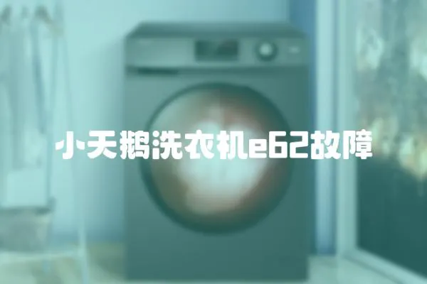 小天鵝洗衣機e62故障